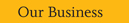 Our Business