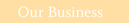 Our Business